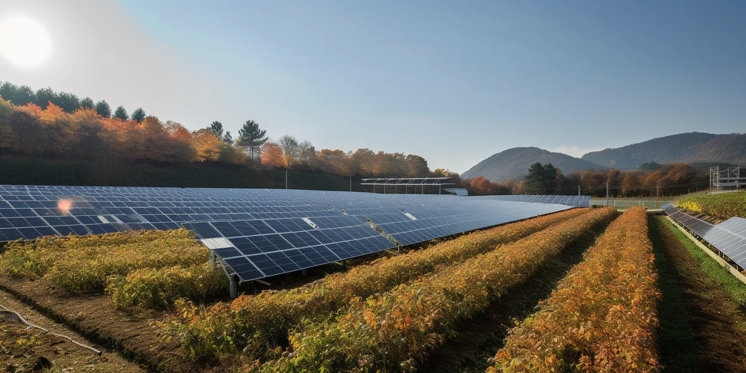 Jak działa fotowoltaika?