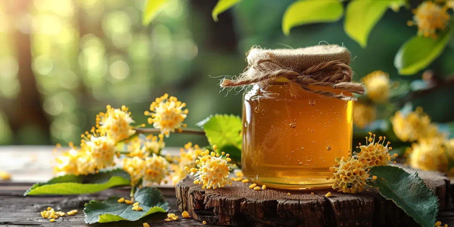 Jak uzyskać miód spadziowy?