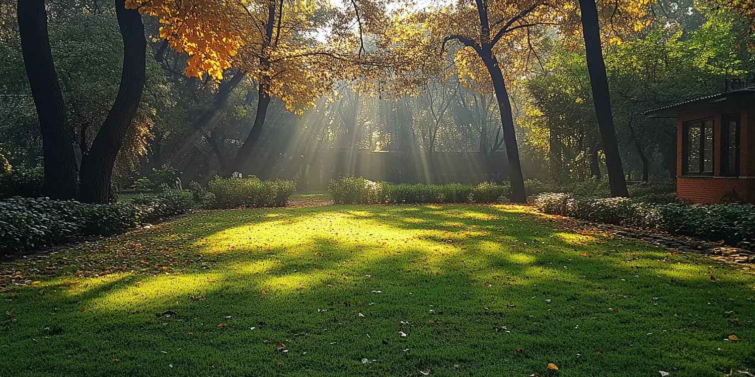 Trawa z rolki jak podlewac?